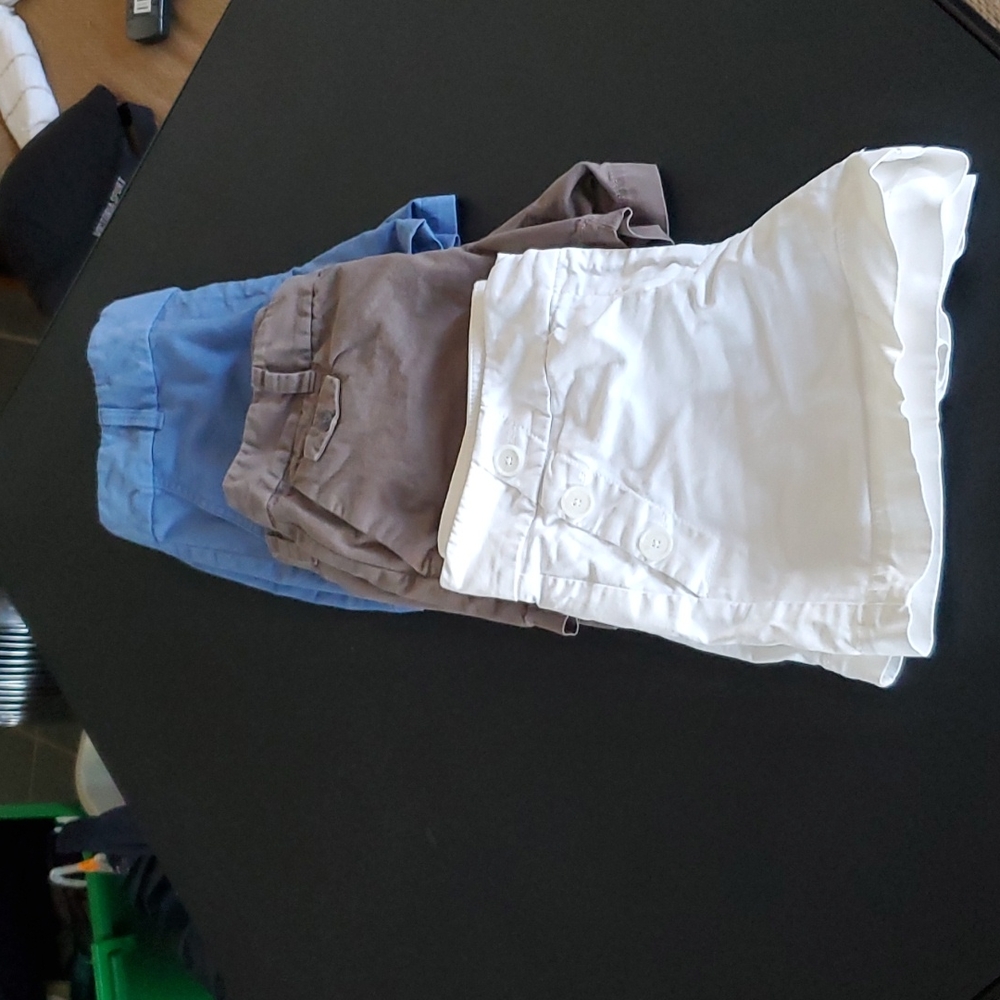 Lot of Loft Shorts size 2